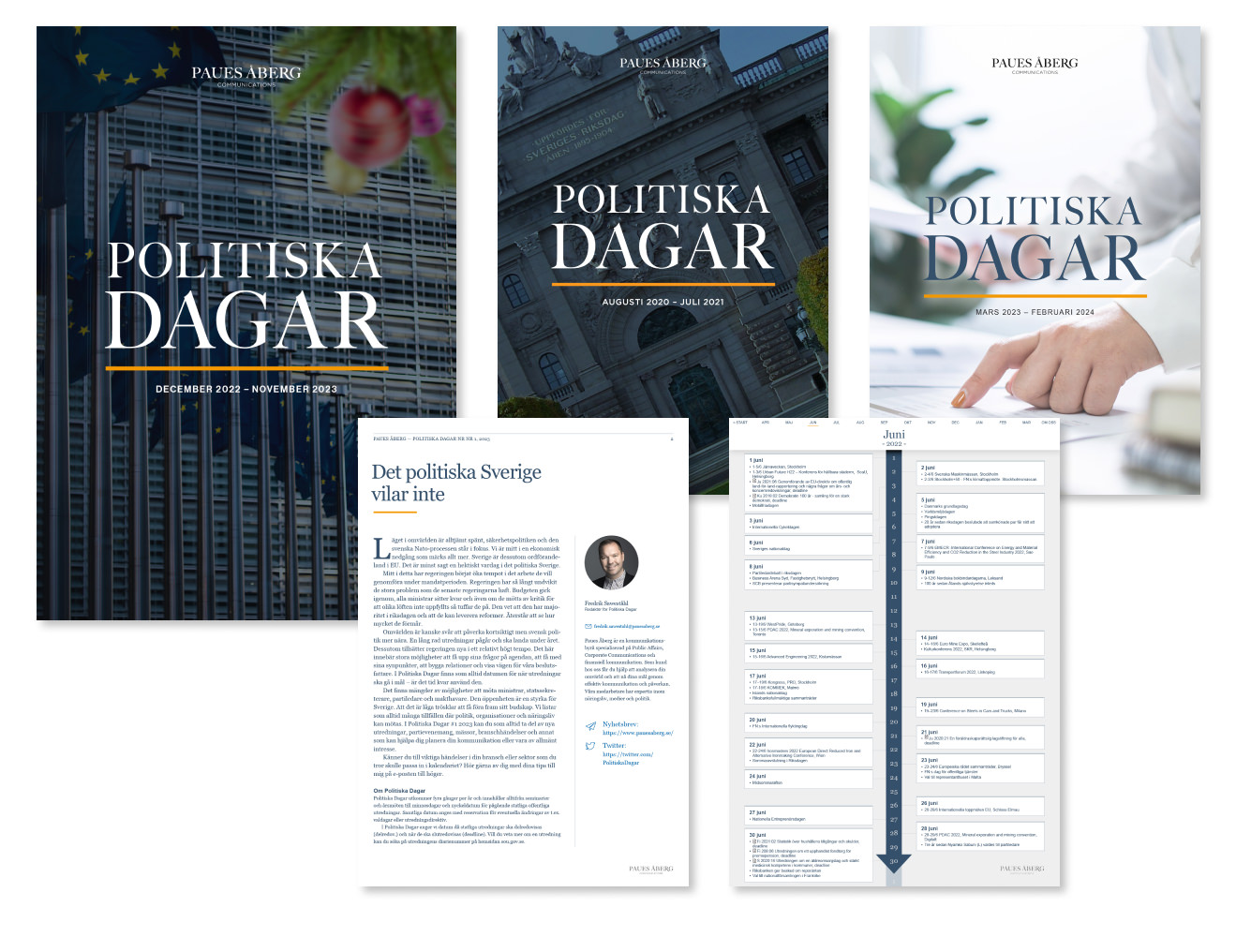 politiska-dagar-paues-aberg-2